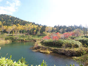 野麦峠写真