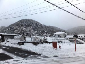 この冬初めての雪　写真1