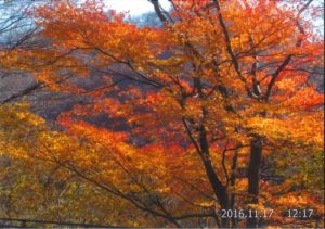 碓氷峠の紅葉