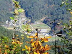 きのこ園から室賀の里を見る