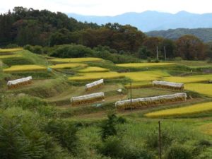 長野市七二会写真2